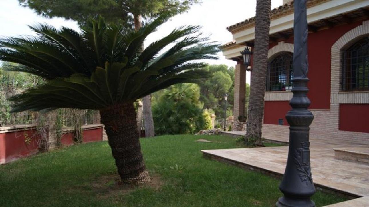 AGENCIA ORIOLANA DE ALQUILER, Alquiler de Chalet en    Orihuela Foto2 