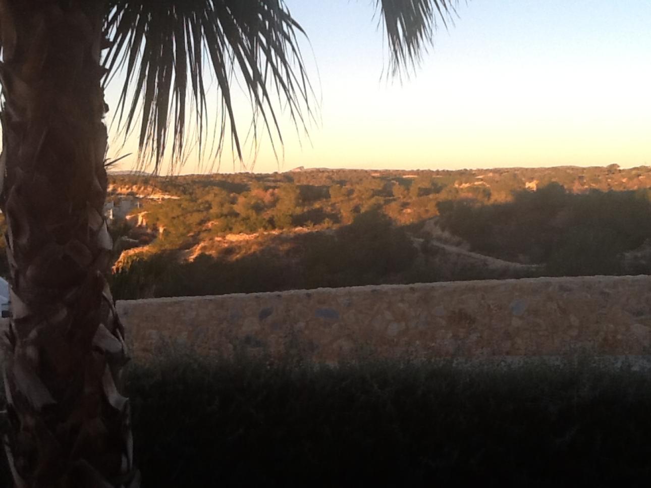AGENCIA ORIOLANA DE ALQUILER, Alquiler de Departamento en    Orihuela Foto7 