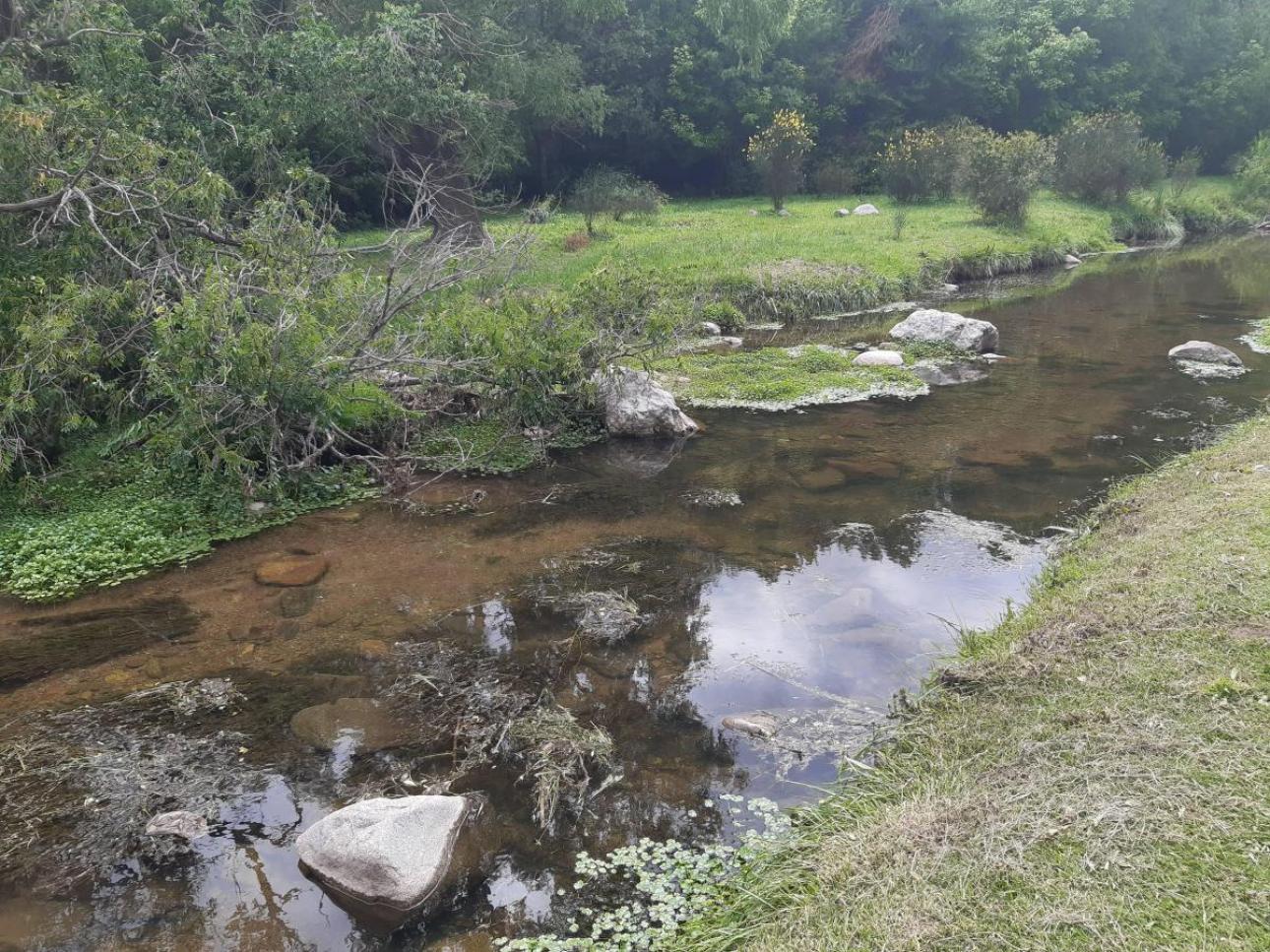 2 Exelentes Terrenos Frentistas Al Río Dolores / San Esteban