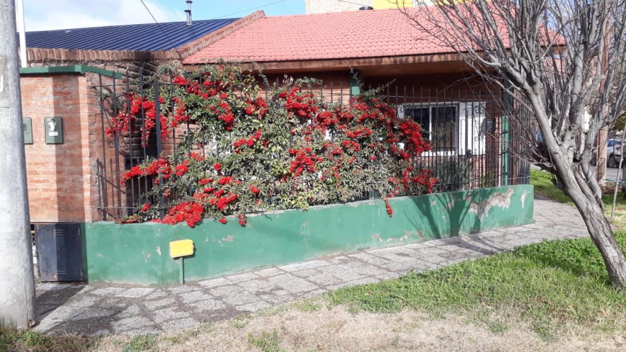 Venta 2 casa + duplex
