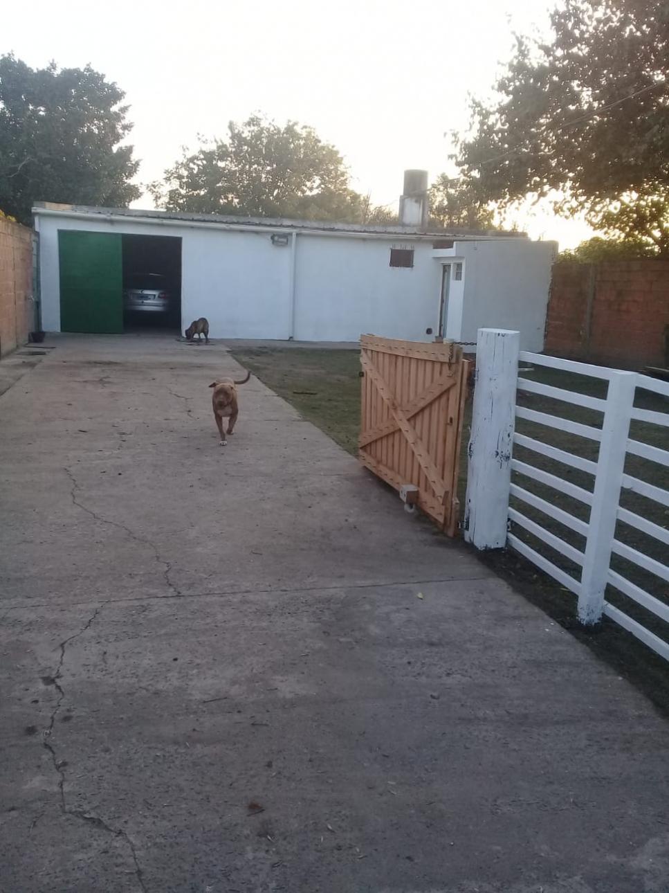 Galpon de 96 m2 sobre calle Quintana, Glew