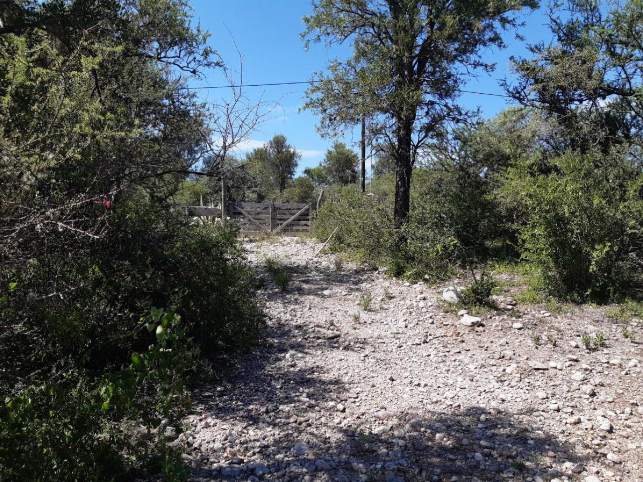 Excelente Campito Sobre Ruta Prov A San Marcos A Solo 2 Km D