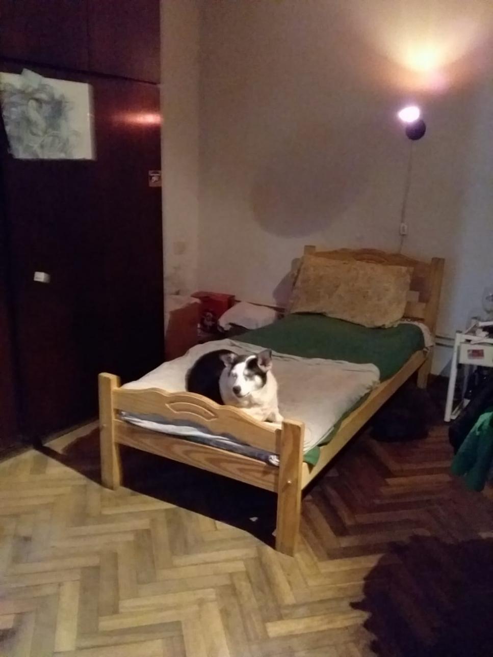 bg