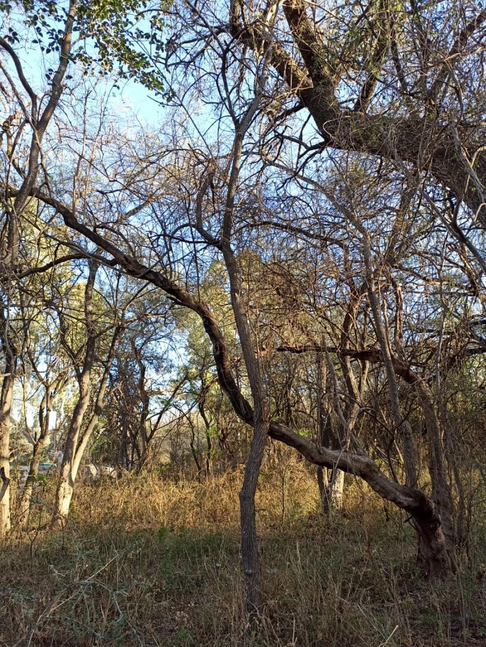 Terreno en Villa de las Rosas, Traslasierra