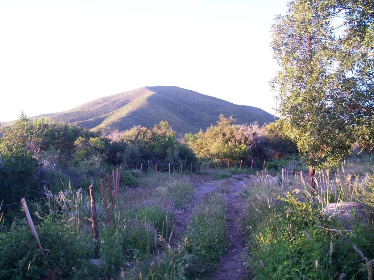 CHACRAS DE MONTAÑA/ZONA URITORCO/3 HA