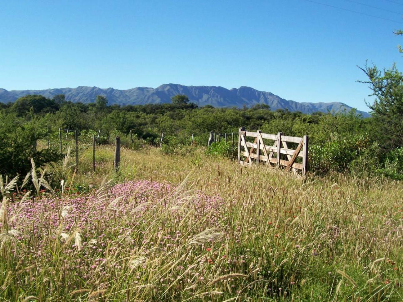 CHACRAS DE MONTAÑA/ZONA URITORCO/3 HA