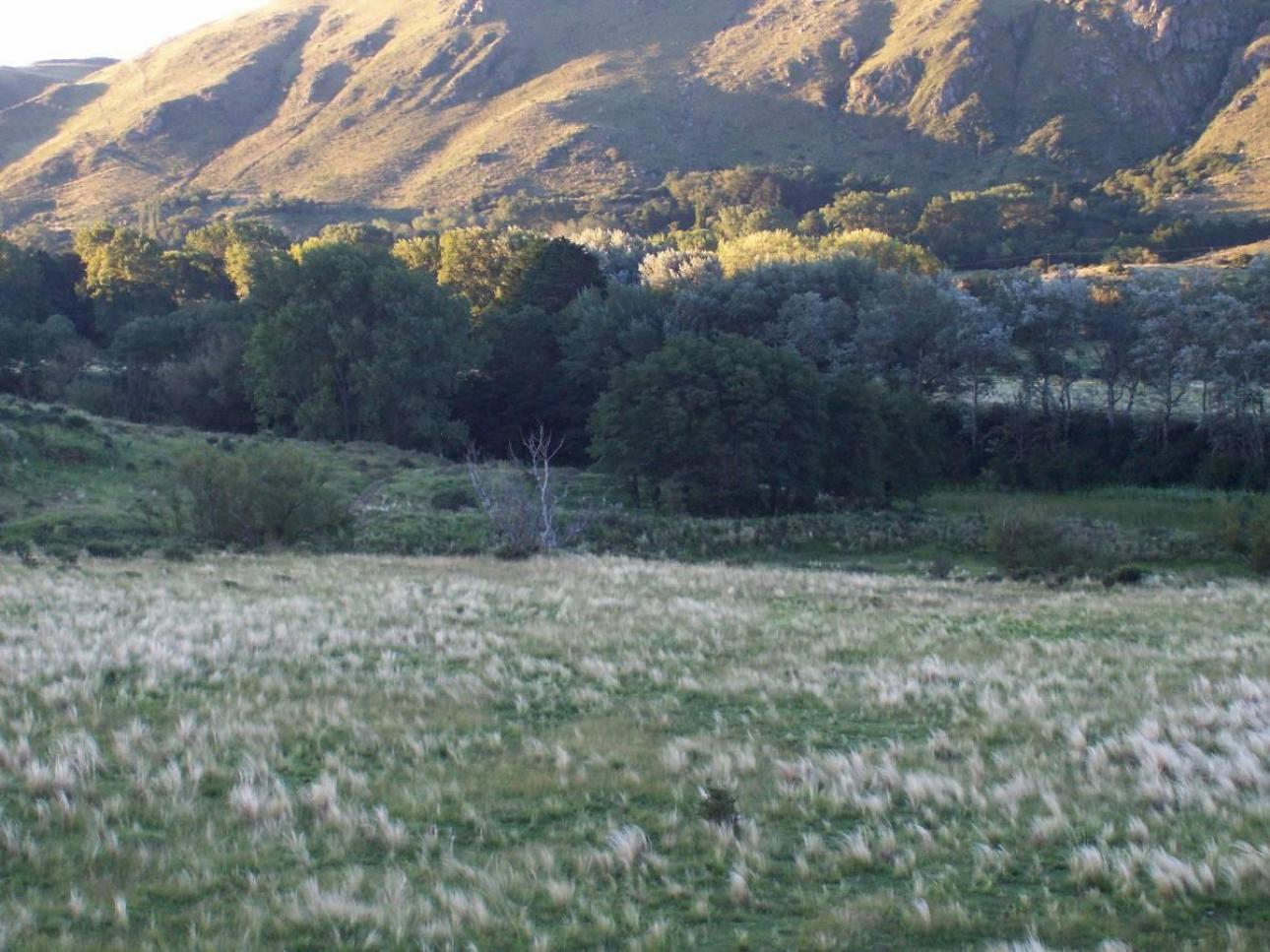 21 HA VALLE DE ONGAMIRA/RIO ONGAMIRA