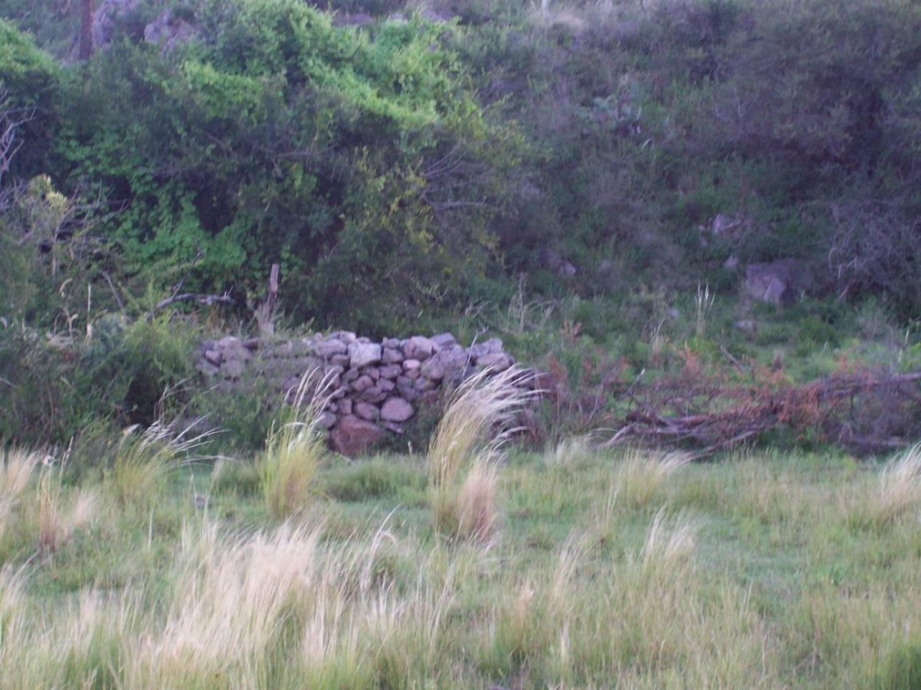 21 HA VALLE DE ONGAMIRA/RIO ONGAMIRA
