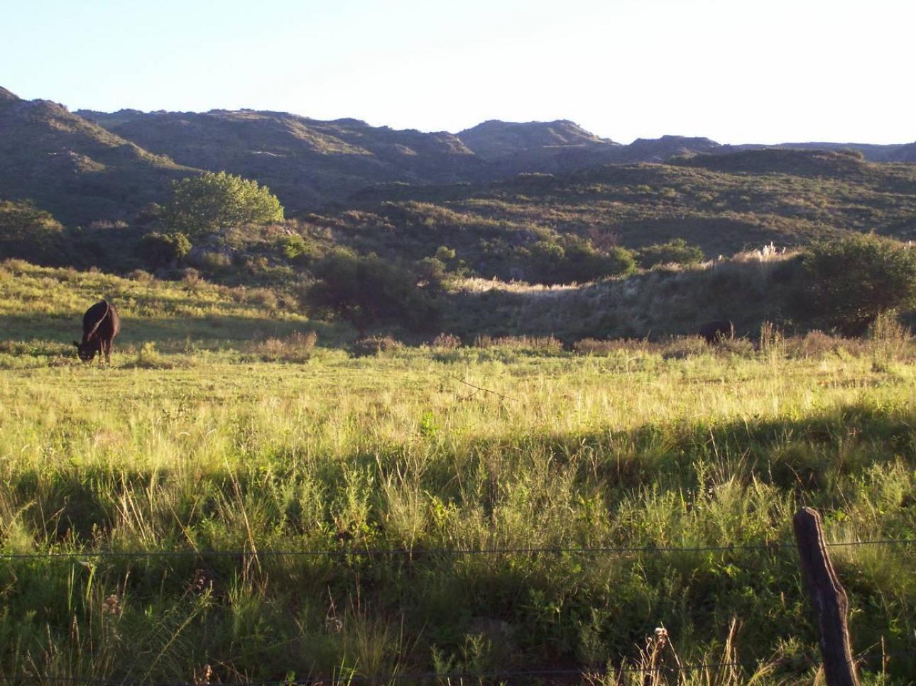 21 HA VALLE DE ONGAMIRA/RIO ONGAMIRA