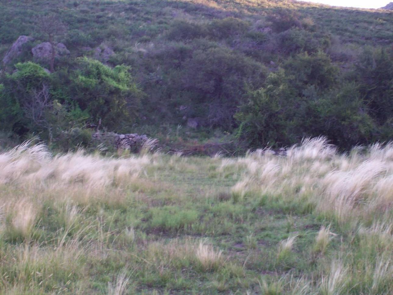 21 HA VALLE DE ONGAMIRA/RIO ONGAMIRA