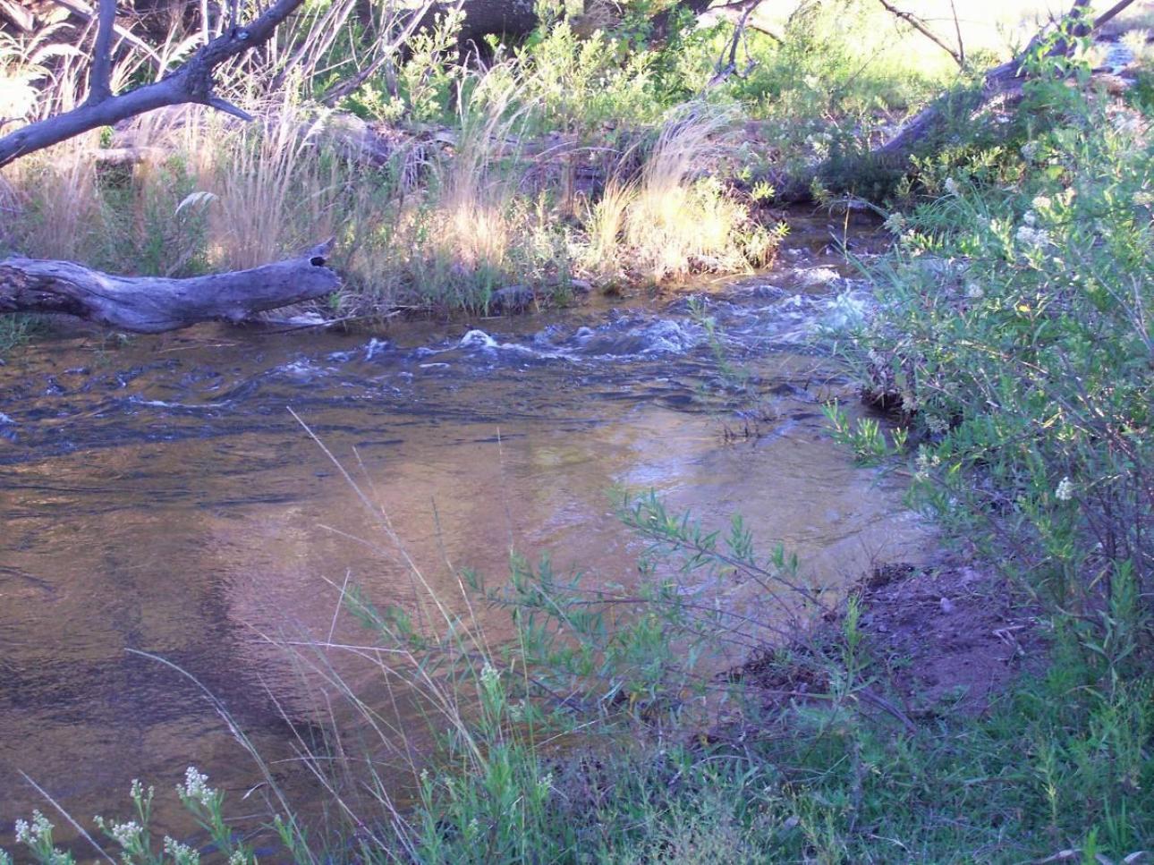 21 HA VALLE DE ONGAMIRA/RIO ONGAMIRA
