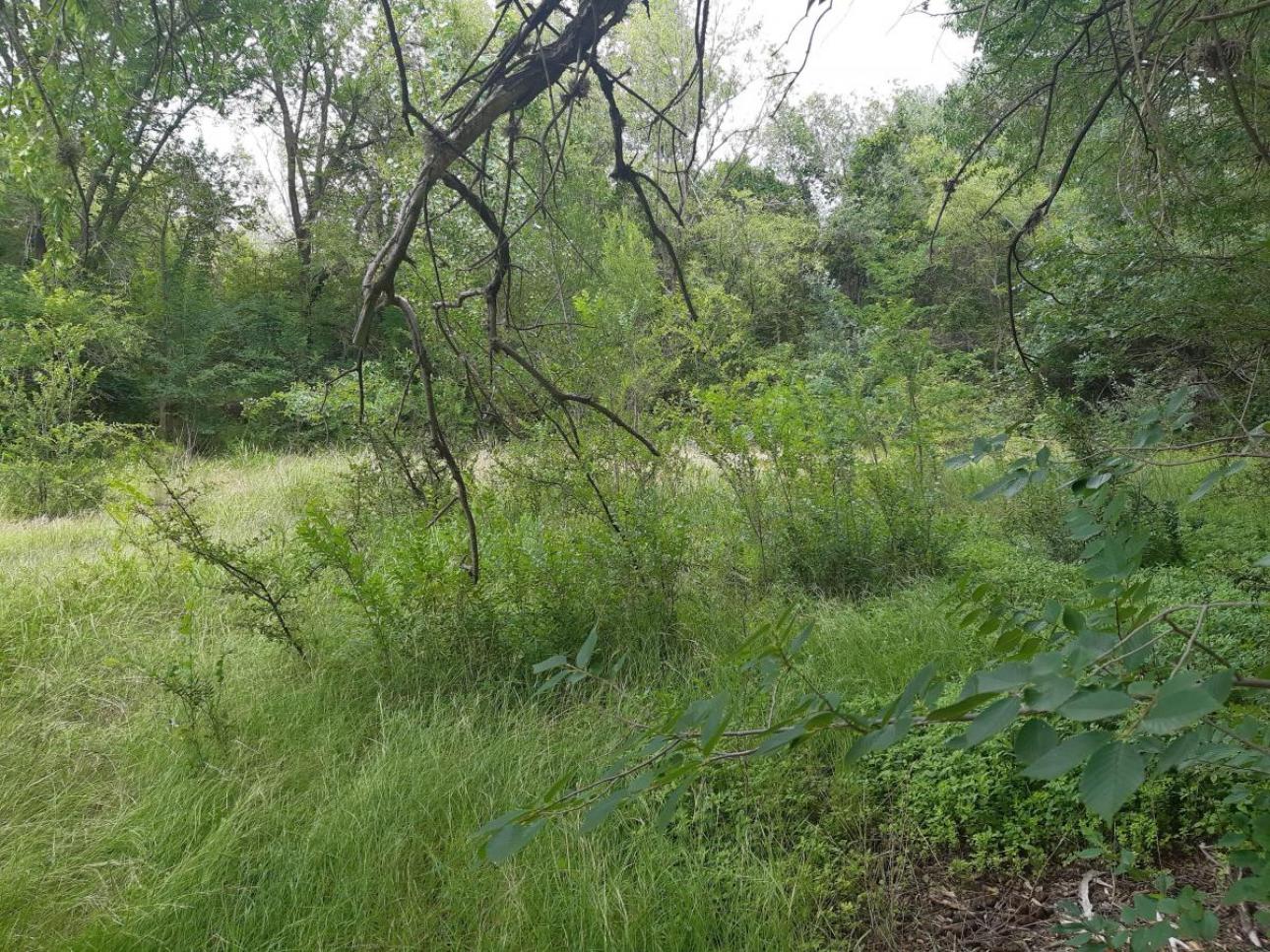 2 Exelentes Terrenos Frentistas Al Río Dolores / San Esteban