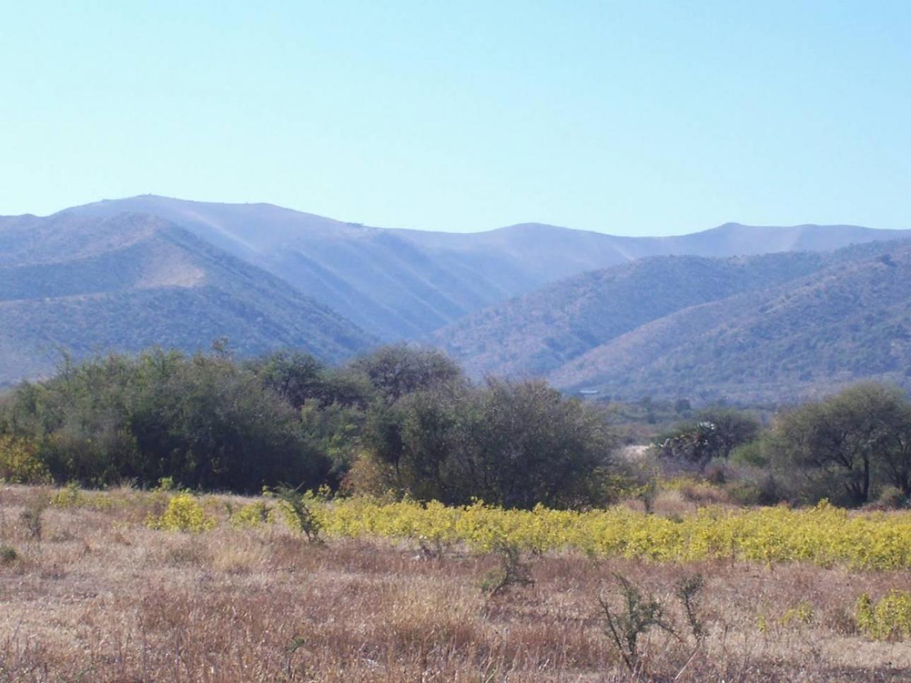 3 Excelentes Fracciones de 5 Ha / Zona Uritorco / Título Per