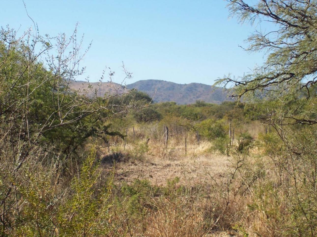 3 Excelentes Fracciones de 5 Ha / Zona Uritorco / Título Per