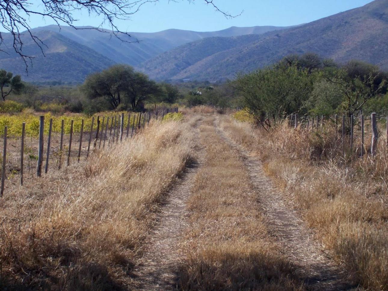 3 Excelentes Fracciones de 5 Ha / Zona Uritorco / Título Per