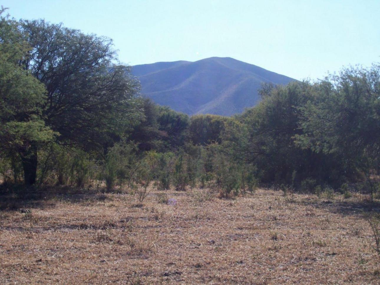 Campo 171 Ha / Charbonier
