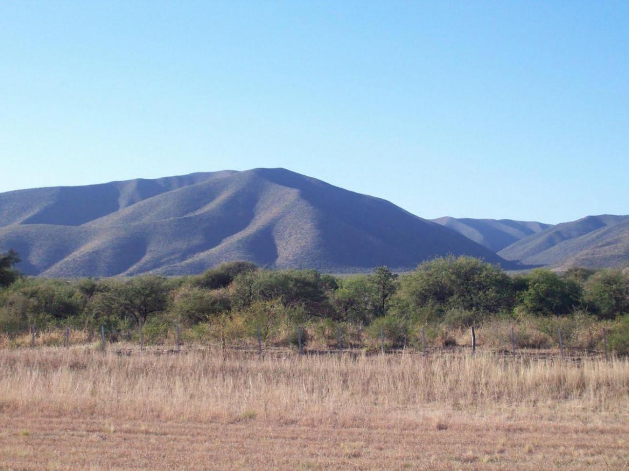Campo 171 Ha / Charbonier