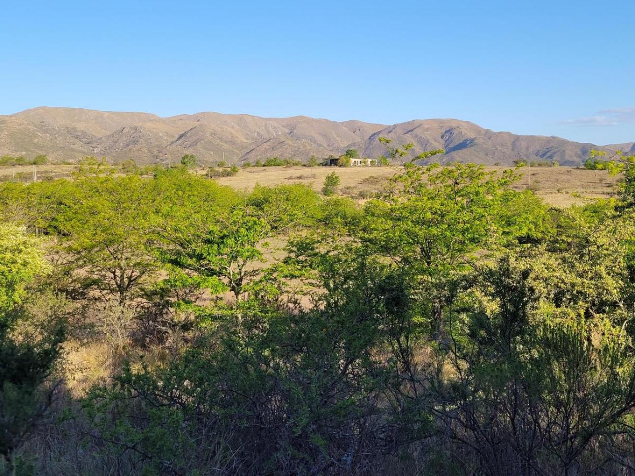 Exclusivo Campo de 16 Ha Villa Giardino