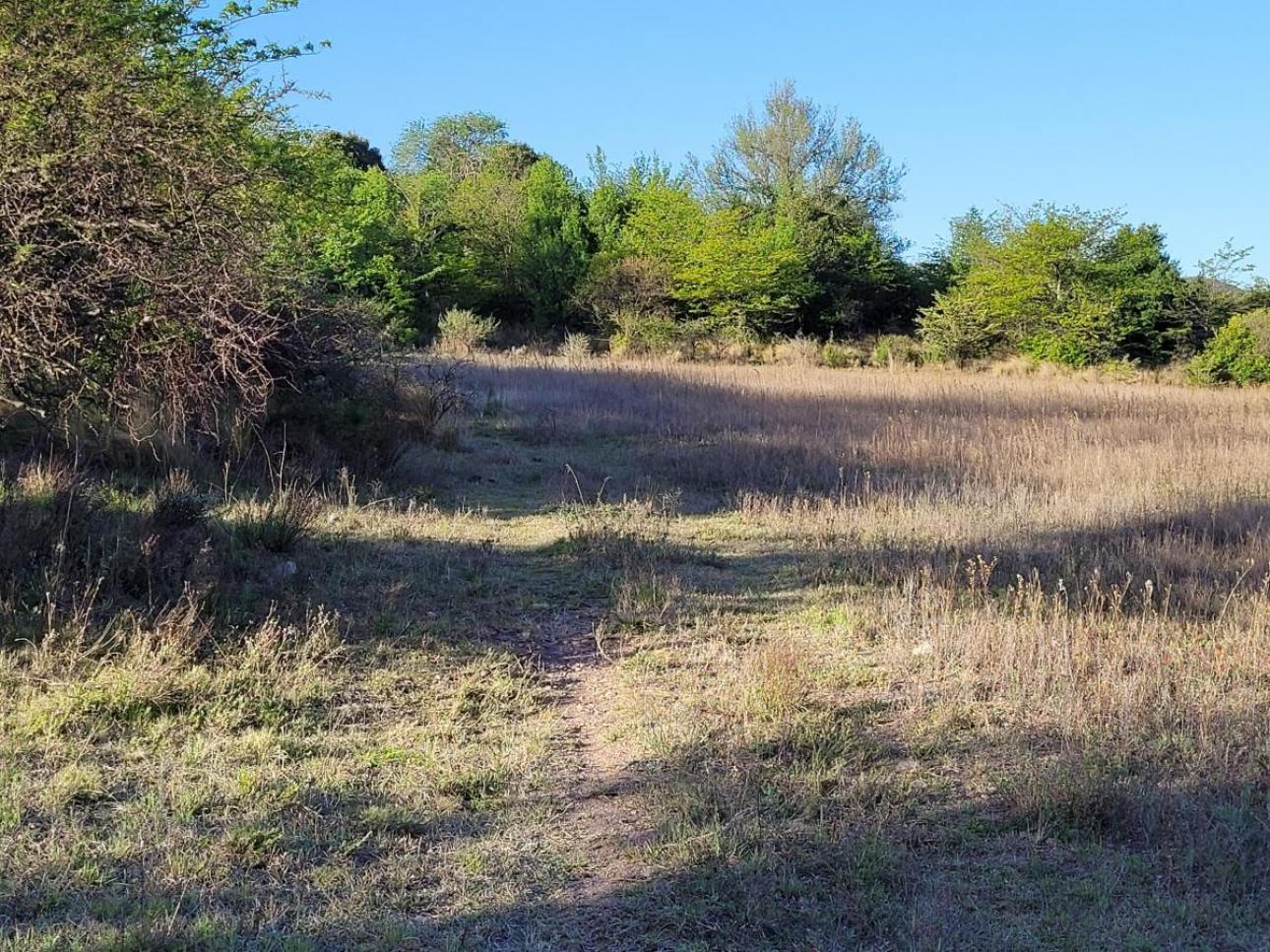 Exclusivo Campo de 16 Ha Villa Giardino