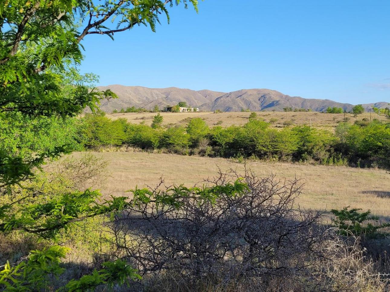 Exclusivo Campo de 16 Ha Villa Giardino