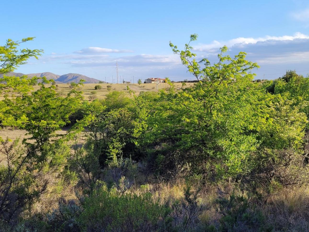 Exclusivo Campo de 16 Ha Villa Giardino