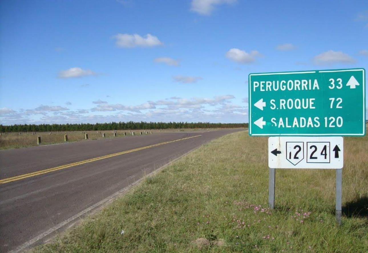 CAMPO FORESTAL EN PERUGORRIA CORRIENTES