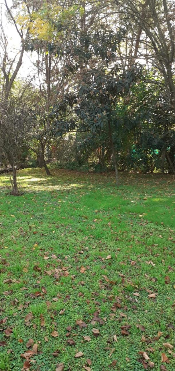 VENDO CASA QUINTA