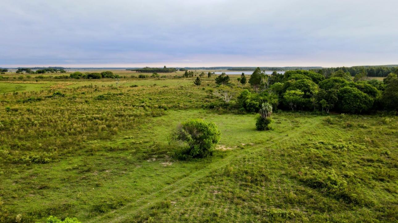 CAMPO DE 8 HAS COLONIA CAIMAN, SAN MIGUEL CORRIENTES