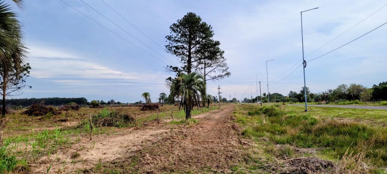 TERRENO 6 HAS S/RUTA 118 SANTA ROSA CORRIENTES