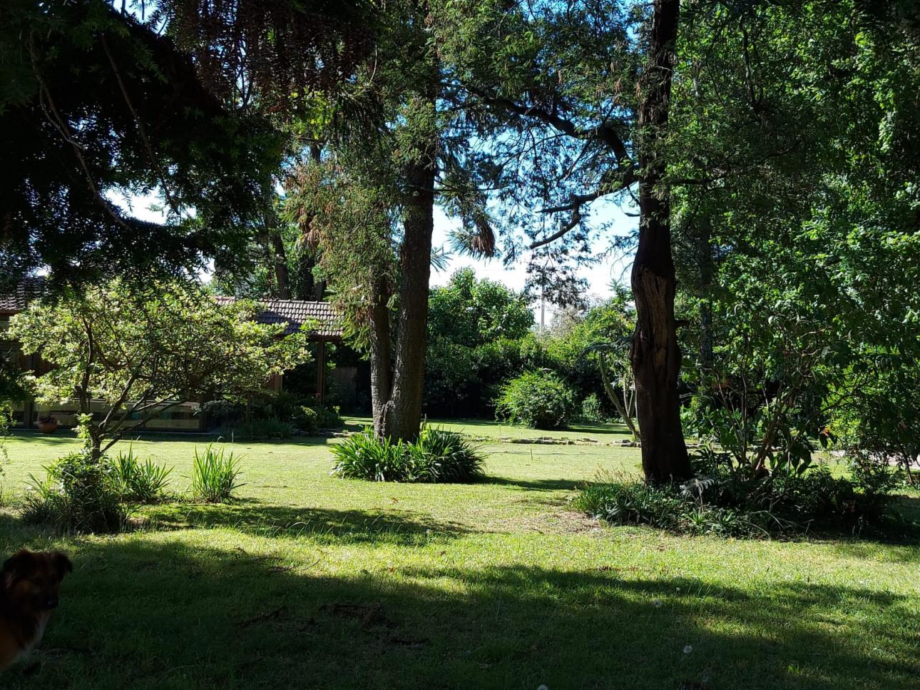 architecture-1171462