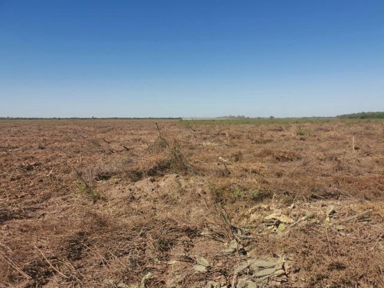 VENDO 100 Ha CAMPO AGRICOLA
