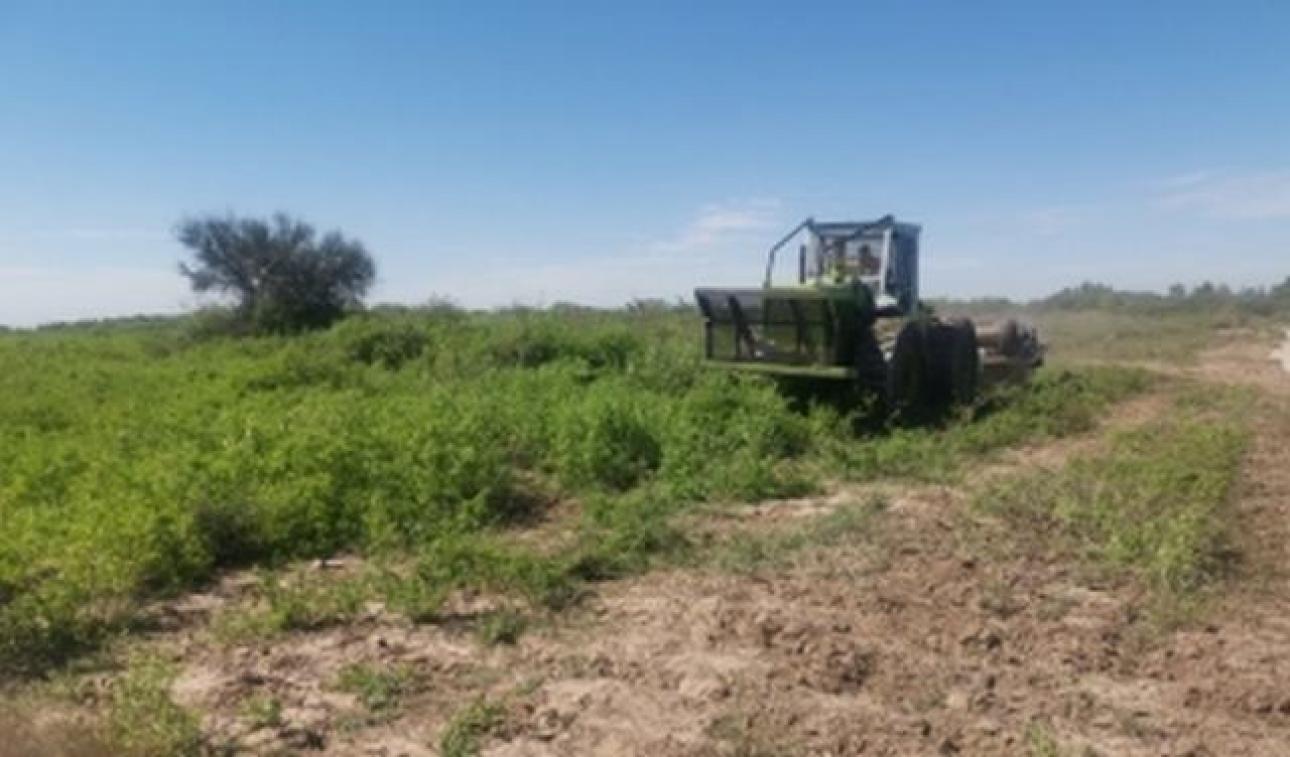 VENDO 100 Ha CAMPO AGRICOLA