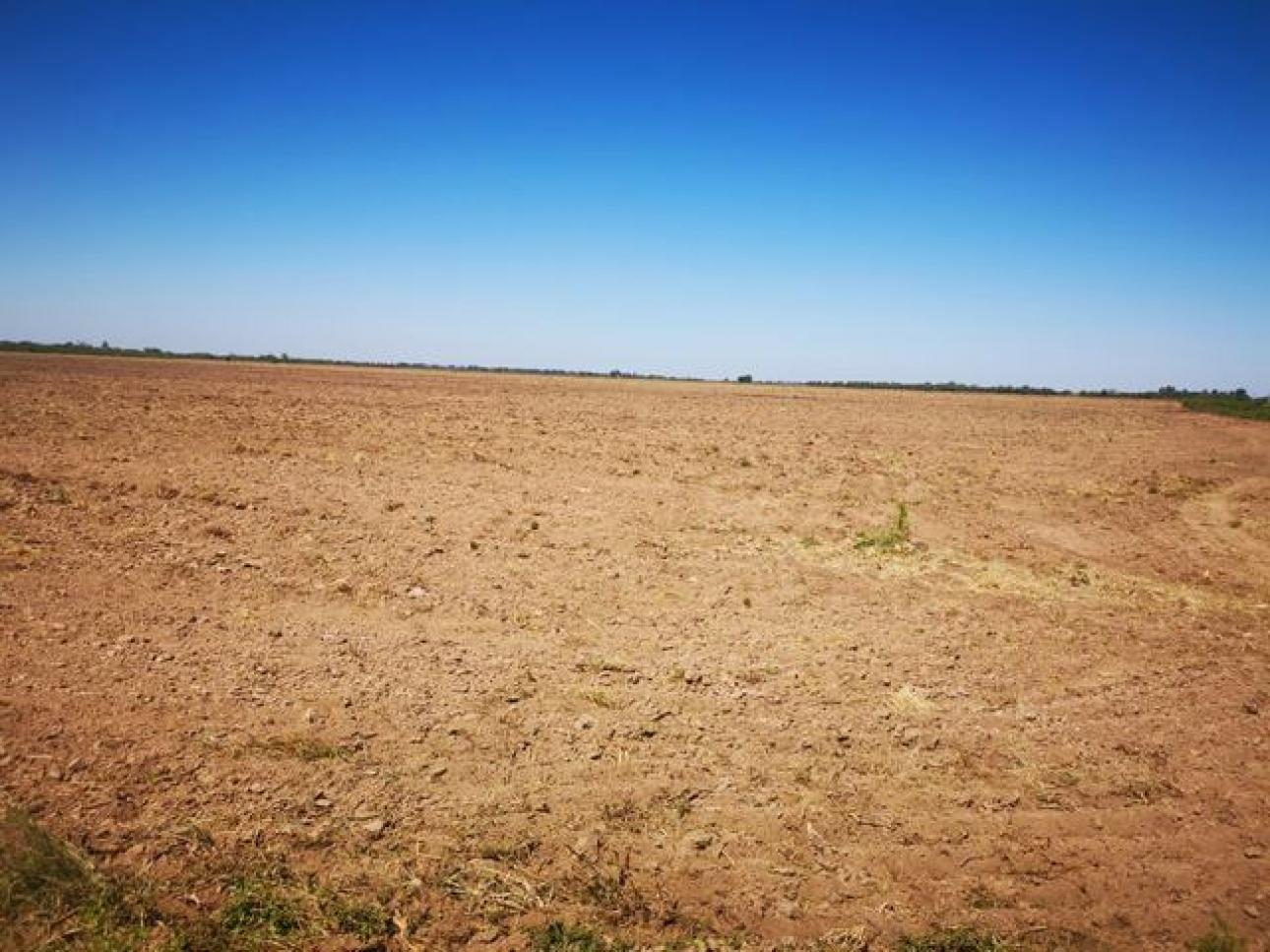 VENDO 100 Ha CAMPO AGRICOLA