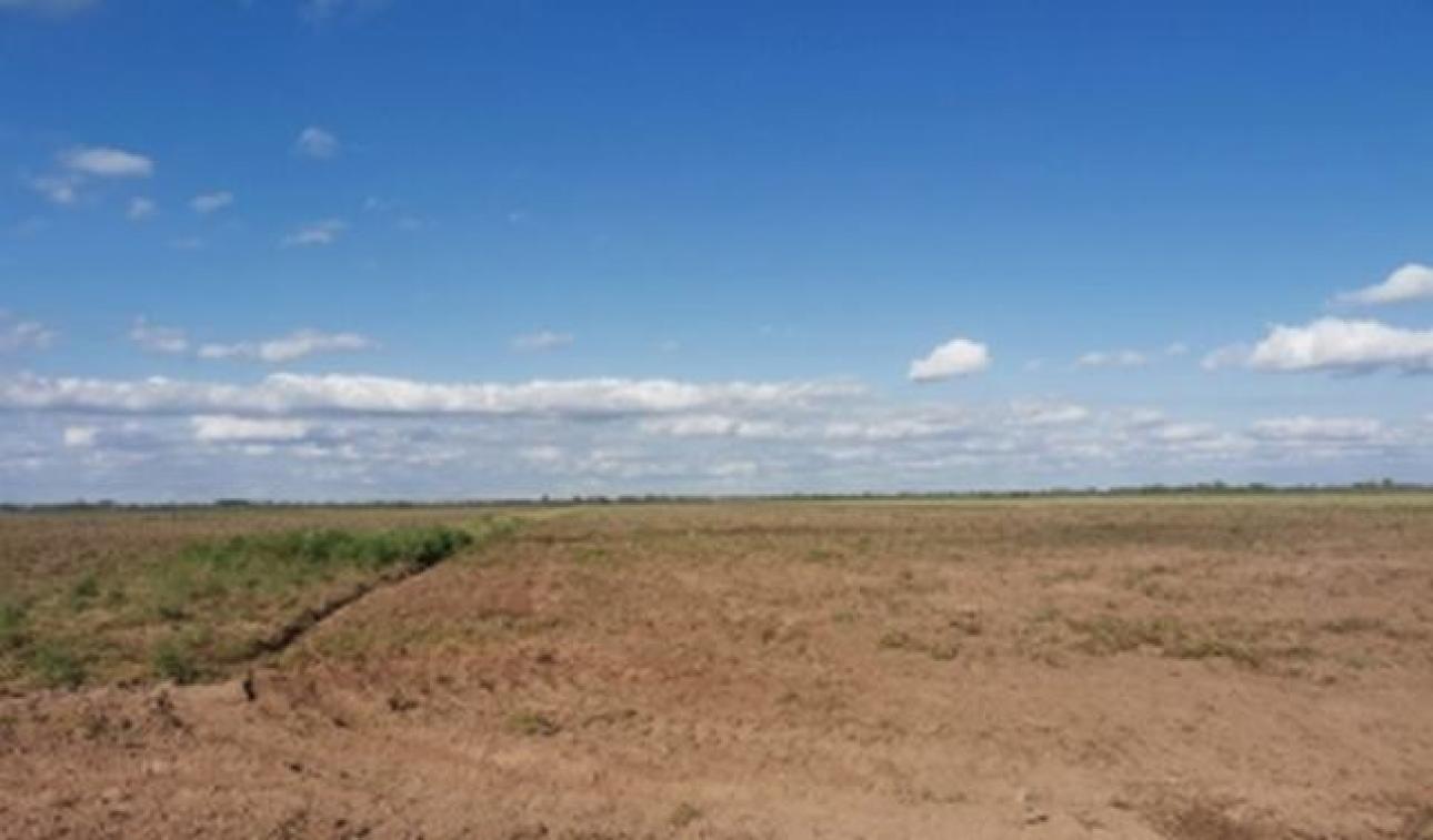 VENDO 100 Ha CAMPO AGRICOLA