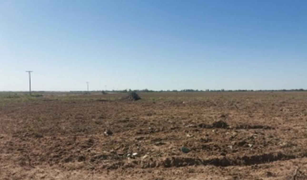 VENDO 100 Ha CAMPO AGRICOLA