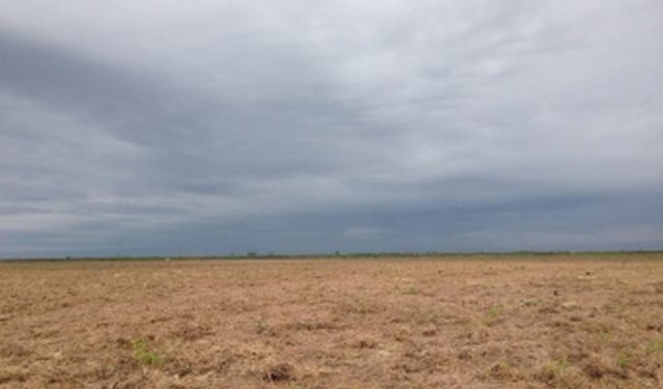VENDO 230 Ha CAMPO AGRICOLA
