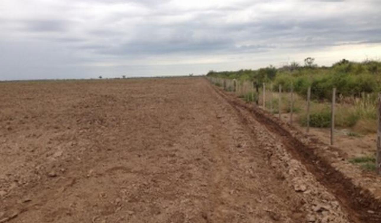 VENDO 230 Ha CAMPO AGRICOLA