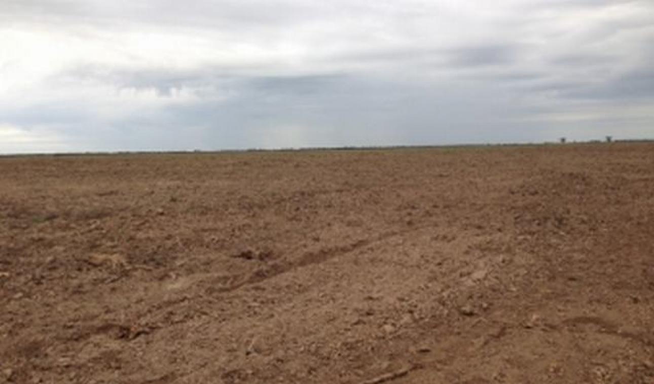 VENDO 230 Ha CAMPO AGRICOLA