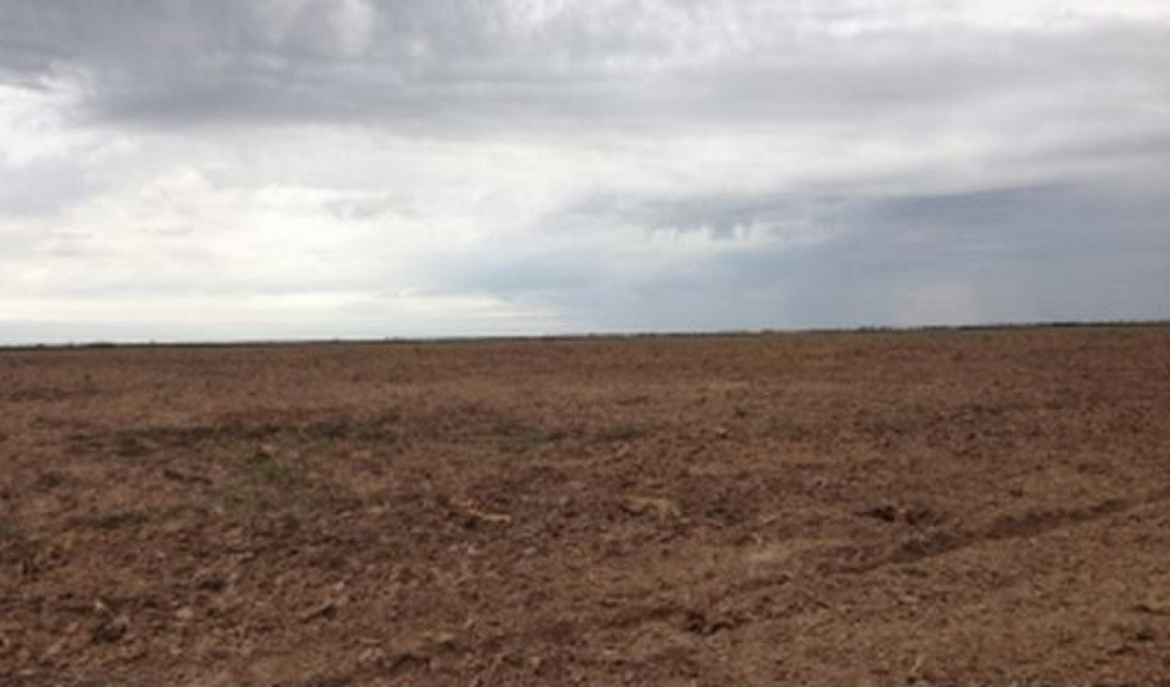 VENDO 230 Ha CAMPO AGRICOLA