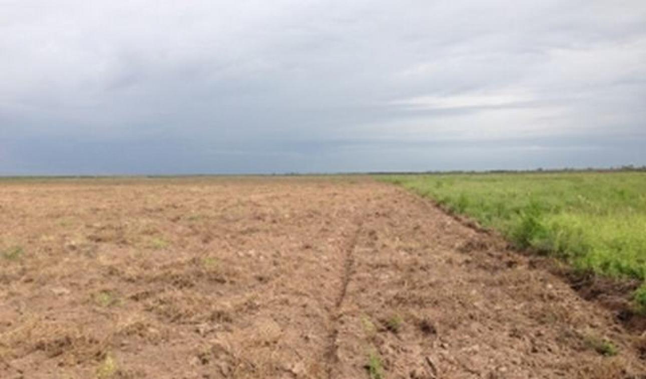 VENDO 230 Ha CAMPO AGRICOLA