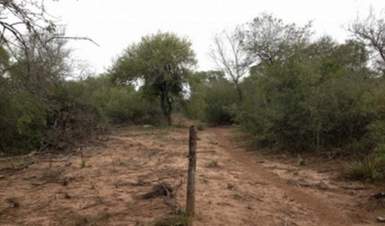 VENDO 230 Ha CAMPO AGRICOLA