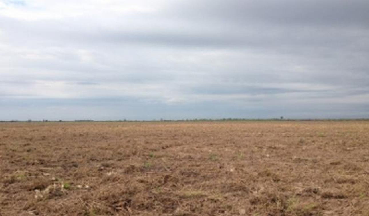 VENDO 230 Ha CAMPO AGRICOLA