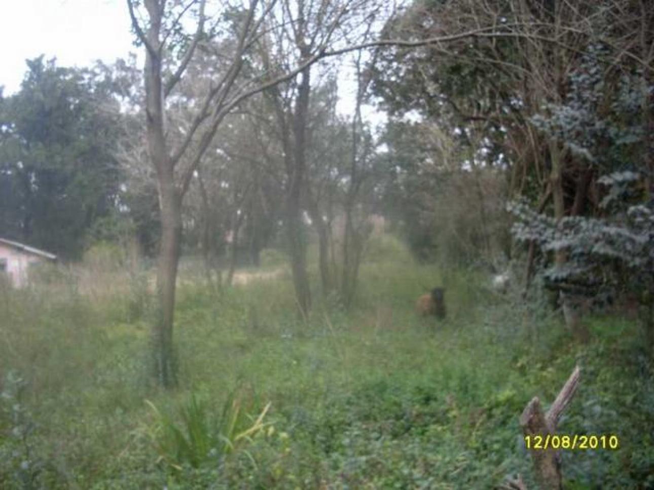 VENDO TERRENO EN MORENO