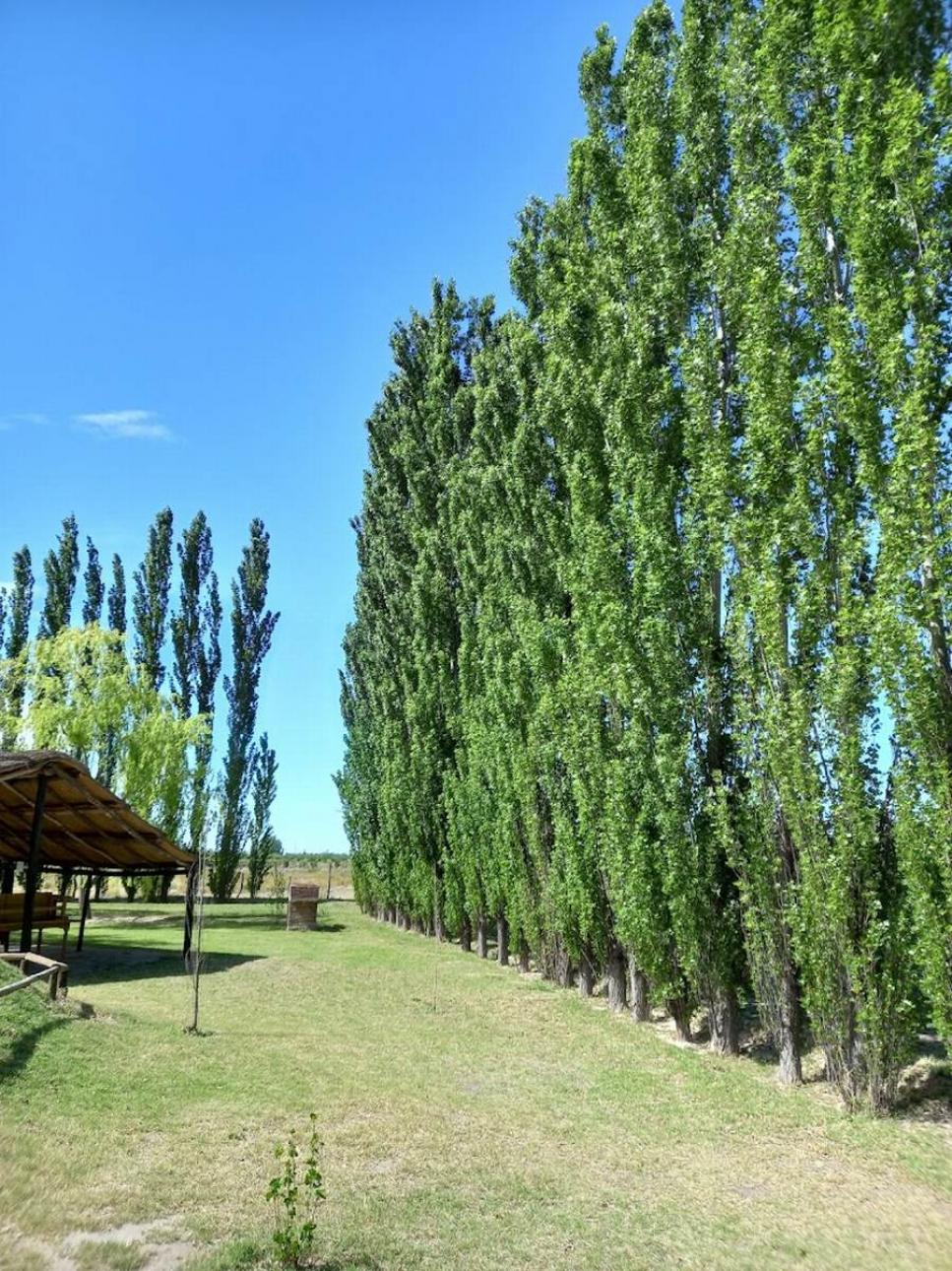 HERMOSO COMPLEJO DE 22.000 METROS CON CINCO CABAÑAS