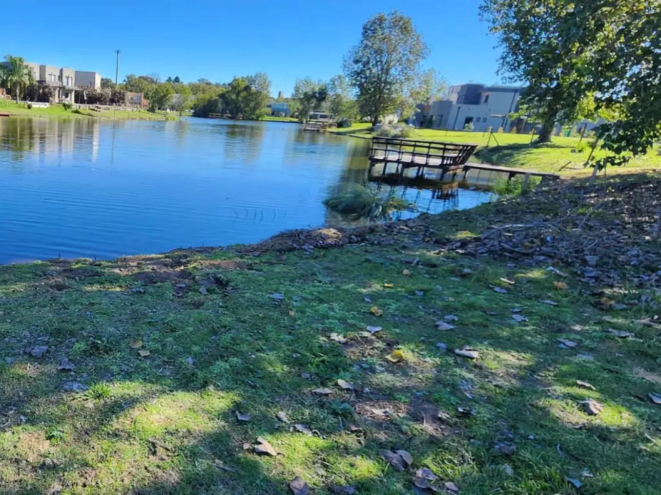 LOTE CON PLAYA A LA LAGUNA NORTE CON DOS AÑOSOS ARBOLES