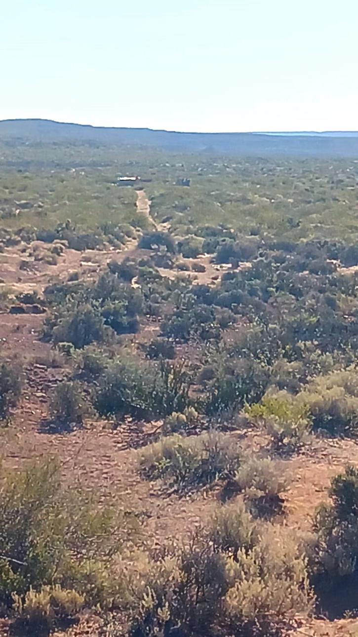 PUEBLO FINCAS VACA MUERTA  DE 5 HECTAREAS EN SENILLOSA