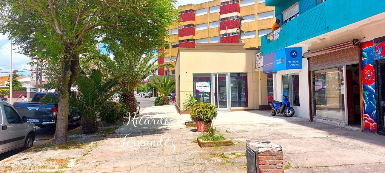 MUY CALIDO DEPARTAMENTO DE DOS AMBIENTES EN PLENO CENTRO