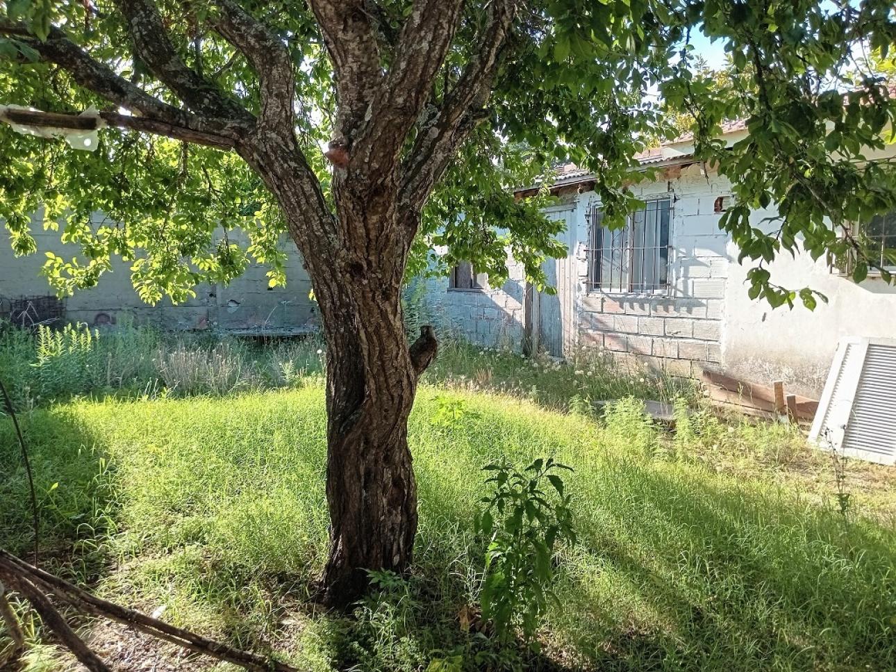Norina Bittoni Inmobiliaria , Venta de Casa en    Mar de Ajó Foto20 