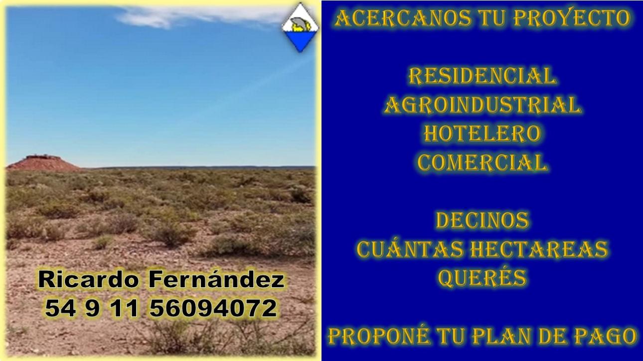 INVERSIÓN EN VACA MUERTA