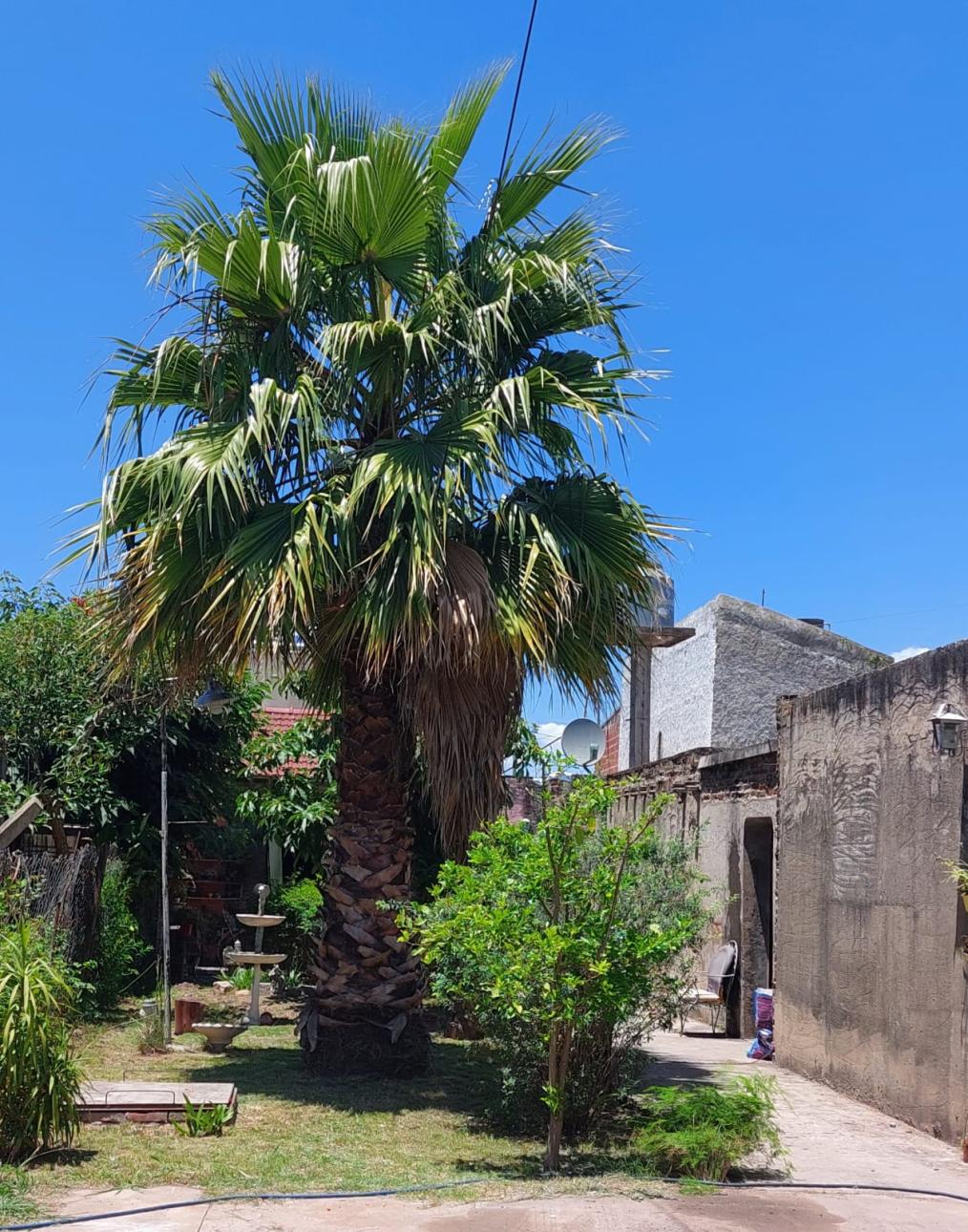 DOS CASAS EN VENTA - CALLE CASTAÑON AL 3.100, R.CASTILLO
